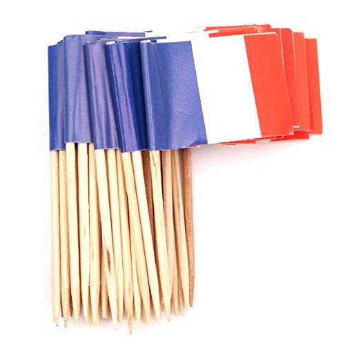 Ruiting Mini-Flagge Zahnstocher 100Pcs Frankreich Flagge Kuchen Auswahl Internationale Events Cocktail-Stock-Flagge Obst Lebensmittel Auswahl von Ruiting