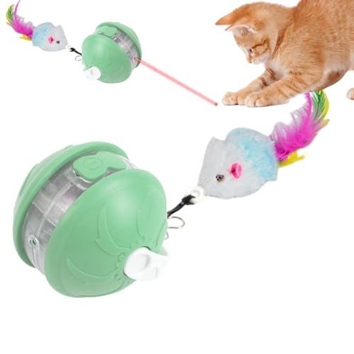 Rukjmqi Interaktive Katzenkugel - Interaktive Elektrische Rollende Bälle Für Katzen | Sicher Haustier Spielzeug Bewegungszubehör Für Haus Wohnung Garten Balkon Wohnzimmer von Rukjmqi
