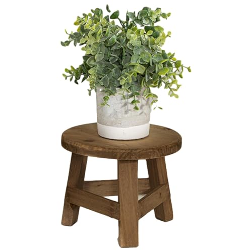 Rukjmqi Pflanzentisch für den Innenbereich, Pflanzenständer für den Innenbereich - Blumentopf-Stützhalter aus Holz | Pflanzenständer für, runder Tisch für Arbeitszimmer, Balkon von Rukjmqi