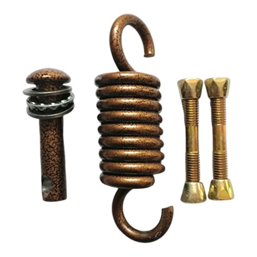 Rukjmqi Schaukelhaken,Hängesessel Feder | Stark Tragfähiger Edelstahl Haken Für Deckenmontage Terrasse Hardware von Rukjmqi