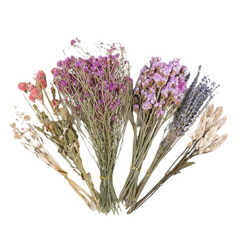 Rukjmqi Trockenblumen Für Hamster 25cm Hamster He-ublumen Einstreu Tierblumen Habitat Decor, Mäuse Lebensraumgehäuse D-ekor Natürliche Ha-mster Bettwäsche Für Ha-mster Rennmäuse Degus Oder Kleintiere von Rukjmqi