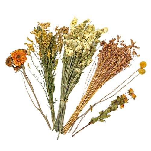 Rukjmqi Trockenblumen Für Hamster 25cm Hamster He-ublumen Einstreu Tierblumen Habitat Decor, Mäuse Lebensraumgehäuse D-ekor Natürliche Ha-mster Bettwäsche Für Ha-mster Rennmäuse Degus Oder Kleintiere von Rukjmqi