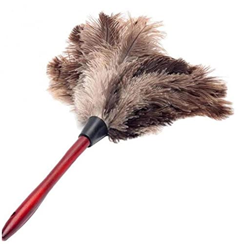 Ruluti Antistatische Hölzerne Griffbürste Duster Reinigungswerkzeuge Wohnmöbel Staubreiniger Werkzeug Haushalt von Ruluti