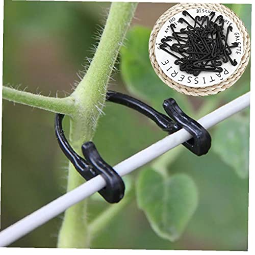 Ruluti Pflanze Feste Zurrhakens Grape Stem Rebe Clips Trauben Krawatten Gartenpflanze Unterstützung Klammern Inhaber Frucht Buckles Haken Feste Gabel Rebe 50pcs von Ruluti