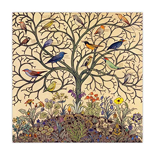 Baum des Lebens Tropische Vögel Kunst Leinwand Druck Vintage Poster Antike Exotische Vogel Natur Wandkunst Leinwand Gemälde Bild 60x60cm Rahmenlos von Rumlly