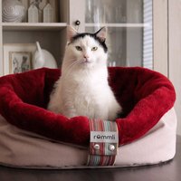 Warmes Katzennest Bett | Flauschiger Kuschelsack Beruhigendes Haustierbett Modernes Katzenmöbel von RummliHomeDecor