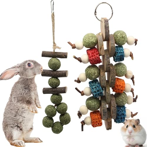 RunFar shop Kaninchen Spielzeug Hamster beschäftigung Kauspielzeug, Hasen zubehör Grasstab, süßer Bambus-Apfelzweig, Backenzahn-Stick, Grasball, Luffa-Apfel-Holzspieß 2pcs RunFar shop Kaninchen Spielzeug Hamster beschäftigung Kauspielzeug, Hasen zubehör Grasstab, süßer Bambus-Apfelzweig, Backenzahn-Stick, Grasball, Luffa-Apfel-Holzspieß 2pcs von RunFar shop