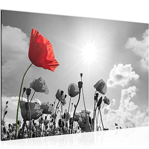 Runa Art Bild Blumen Mohnblume Modern Wandbilder Wohnzimmer 1 Teilig - Made In Germany - Natur Grau Rot Flur 034415c von Runa Art