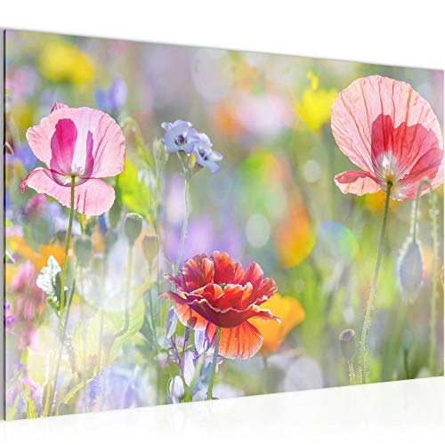 Runa Art Bild Blumen Mohnblumen Modern Wandbilder Wohnzimmer 1 Teilig - Made In Germany - Blumenwiese Natur Bunt Flur 007515a von Runa Art