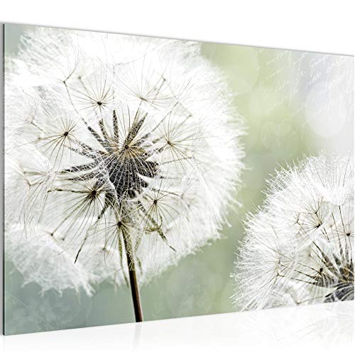 Runa Art Bild Pusteblume Modern Wandbilder Wohnzimmer Schlafzimmer 1 Teilig - Made In Germany - Natur Grau Grün Flur 207115a von Runa Art