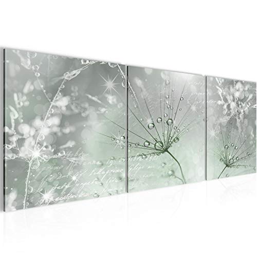 Runa Art Bilder Pusteblume 3 Teilig Bild auf Vlies Leinwand Deko Wohnzimmer Schlafzimmer 90 x 30 cm Natur Grün Grau 205534c von Runa Art