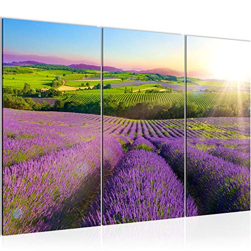 Runa Art Wandbilder Provance Landschaft Bild XXL Schlafzimmer Wohnzimmer Lila Lavendel Natur 120 x 80 cm 3 Teilig 610731b von Runa Art