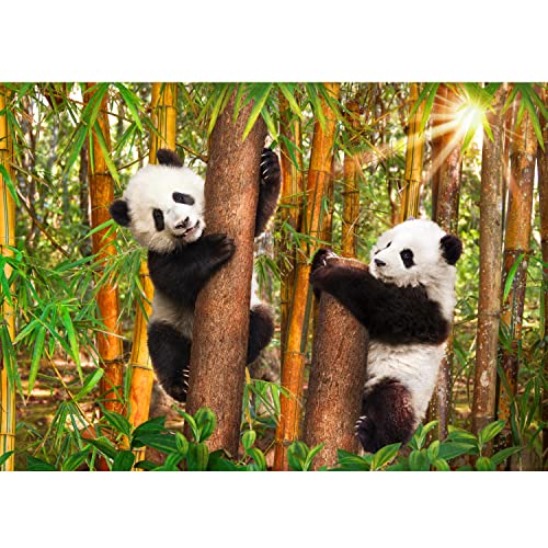 Runa Art Fototapeten 396 x 280 cm Wald Panda - Vlies Wanddekoration Wohnzimmer Schlafzimmer - Deutsche Manufaktur - Schwarz Weiss Grün 9297012a von Runa Art