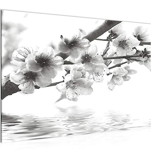 Runa Art Bild Blumen Sakura Modern Wandbilder Wohnzimmer 1 Teilig - Made In Germany - Japan Schwarz Weiss Flur 200215c von Runa Art