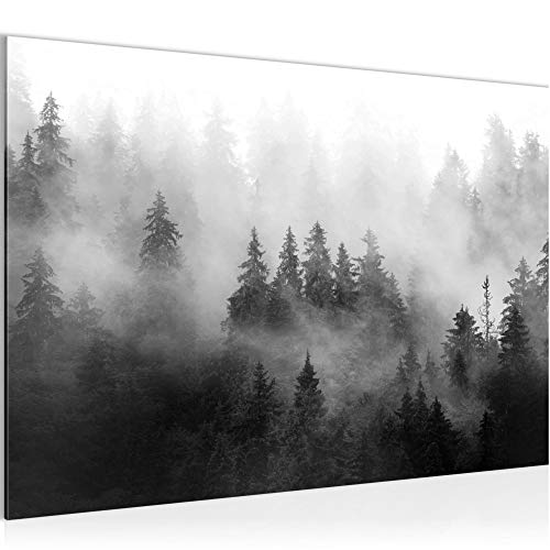 Runa Art Bild Wald Natur Modern Wandbilder Wohnzimmer Schlafzimmer 1 Teilig - Made In Germany - Landschaft Schwarz Weiss Flur 032315c Runa Art Bild Wald Natur Modern Wandbilder Wohnzimmer Schlafzimmer 1 Teilig - Made In Germany - Landschaft Schwarz Weiss Flur 032315c von Runa Art
