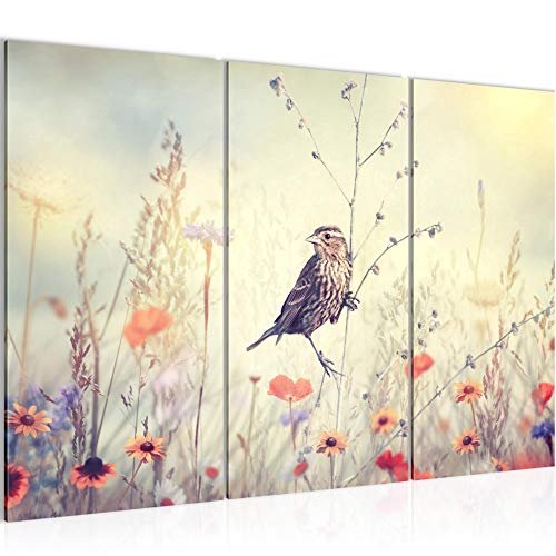 Runa Art Wandbilder Blumen Vogel Bild XXL Wohnzimmer Schlafzimmer Bunt Blumenwiese Natur 120 x 80 cm 3 Teilig 010631a von Runa Art