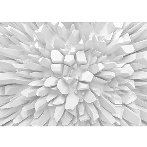Runa Art Fototapete 3D Abstrakt Modern Vlies Wohnzimmer Schlafzimmer - Made in Germany - 308 x 220 cm Weiss 9149010a von Runa Art