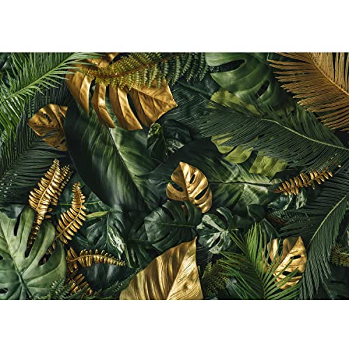 Runa Art Fototapete tropische Blätter Monstera 352 x 250 cm Vlies Tapeten XXL Moderne Wandtapete Wohnzimmer Schlafzimmer grün 9591011a von Runa Art