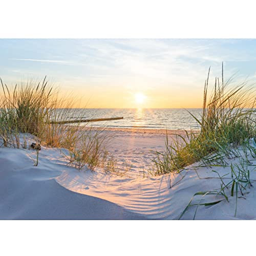 Runa Art Fototapete Strand Sonnenuntergang Modern Vlies Wohnzimmer Schlafzimmer - Made in Germany - Meer Natur 9559010a von Runa Art