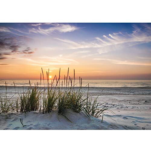 Runa Art Fototapete Strand Sonnenuntergang 352 x 250 cm Vlies Tapeten XXL Moderne Wandtapete Wohnzimmer Schlafzimmer 9588011a von Runa Art