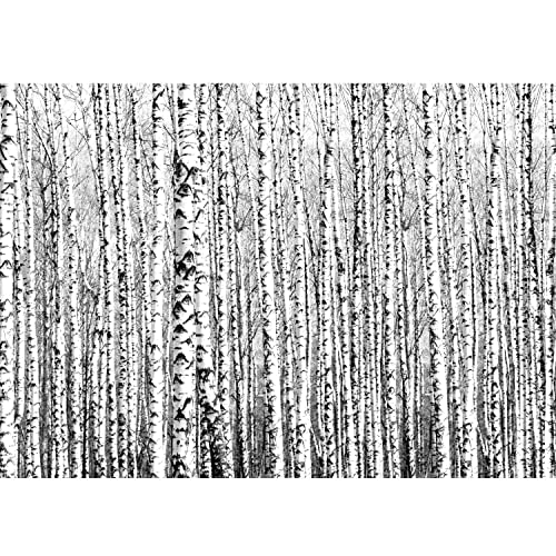 Runa Art Fototapete Wald Birken Modern Vlies Wohnzimmer Schlafzimmer - Made in Germany - Schwarz Weiss 9288010a von Runa Art