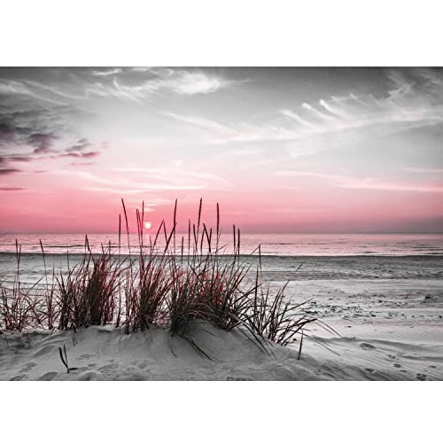 Runa Art Fototapeten 396 x 280 cm Strand Sonnenuntergang - Vlies Wanddekoration Wohnzimmer Schlafzimmer - Deutsche Manufaktur - 9588012b von Runa Art