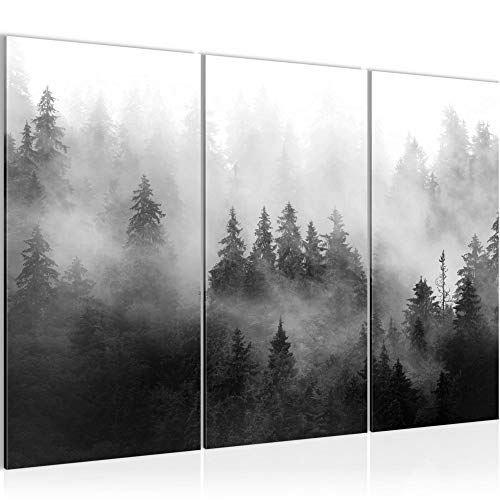 Runa Art Wandbilder Wald Natur Bild XXL Wohnzimmer Schlafzimmer Schwarz Weiss Landschaft 120 x 80 cm 3 Teilig 032331c von Runa Art