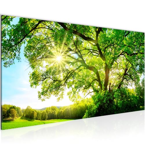 Runa Art Wandbild Sonniger Wald 100 x 40 cm Modern Bild auf Vlies Leinwand Wald Natur Wohnzimmer Schlafzimmer Grün Blau 049912a Runa Art Wandbild Sonniger Wald 100 x 40 cm Modern Bild auf Vlies Leinwand Wald Natur Wohnzimmer Schlafzimmer Grün Blau 049912a von Runa Art