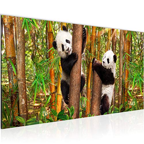 Runa Art Wandbild Tiere Panda 1 Teilig 100 x 40 cm Modern Bild auf Vlies Leinwand Natur Bambus Wohnzimmer Schlafzimmer Bunt 014212a von Runa Art