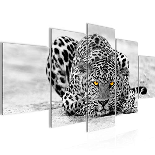 Runa Art Wandbilder Afrika Leopard 5 Teilig Bild auf Vlies Leinwand Deko Wohnzimmer Schlafzimmer Raubkatzen Grau Gelb 000352a von Runa Art