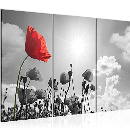 Runa Art Wandbilder Blumen Mohnblume Bild XXL Wohnzimmer Schlafzimmer Grau Rot Natur 120 x 80 cm 3 Teilig 034431c von Runa Art