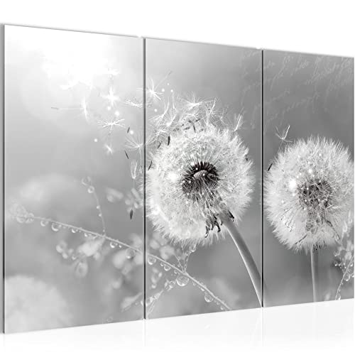 Runa Art Wandbilder Pusteblume Bild XXL Wohnzimmer Schlafzimmer Schwarz Weiss Natur 120 x 80 cm 3 Teilig 023631c Runa Art Wandbilder Pusteblume Bild XXL Wohnzimmer Schlafzimmer Schwarz Weiss Natur 120 x 80 cm 3 Teilig 023631c von Runa Art
