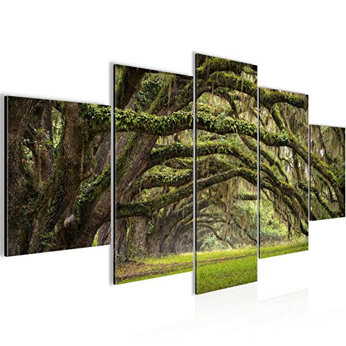 Runa Art Wandbilder Wald Landschaft 5 Teilig Bild auf Vlies Leinwand Deko Schlafzimmer Wohnzimmer Natur Grün 609952a von Runa Art