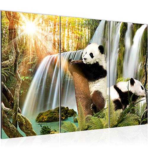 Runa Art Wandbilder Wasserfall Panda Bild XXL Wohnzimmer Schlafzimmer Bunt Tier Natur 120 x 80 cm 3 Teilig 013031a von Runa Art