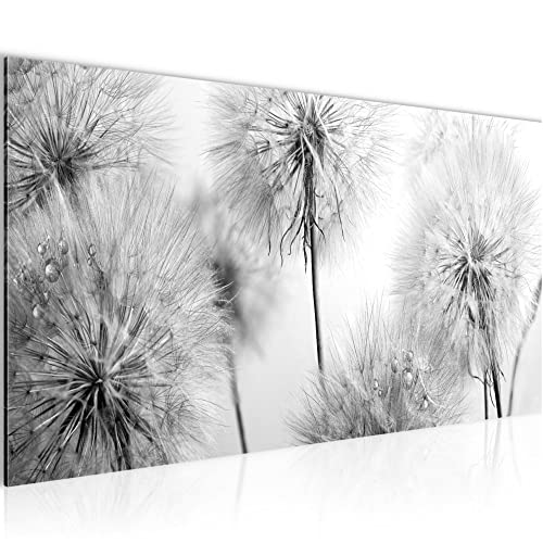 Runa Art Wandbild Blumen Pusteblumen 1 Teilig 100 x 40 cm Modern Bild auf Vlies Leinwand Natur Wohnzimmer Schwarz Weiss 042012c von Runa Art