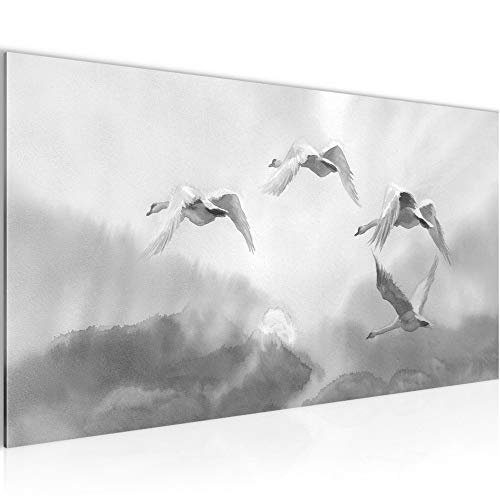 Runa Art Wandbild Vogel Schwäne 1 Teilig 100 x 40 cm Modern Bild auf Vlies Leinwand Natur Wohnzimmer Schlafzimmer Schwarz Weiss 023412c von Runa Art