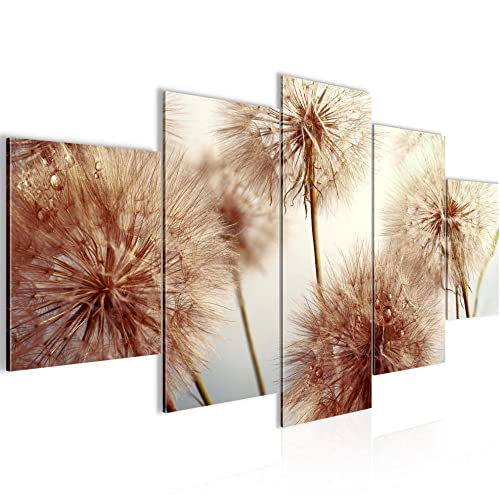 Runa Art Wandbilder Blumen Pusteblumen 5 Teilig Bild auf Vlies Leinwand Deko Wohnzimmer Natur Beige 042052b von Runa Art