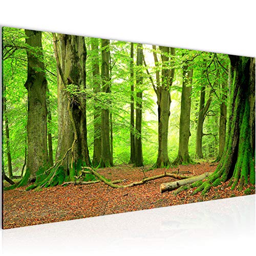 Runa Art Wandbild Wald Landschaft 1 Teilig 100 x 40 cm Modern Bild auf Vlies Leinwand Natur Schlafzimmer Wohnzimmer Grün 610912b von Runa Art