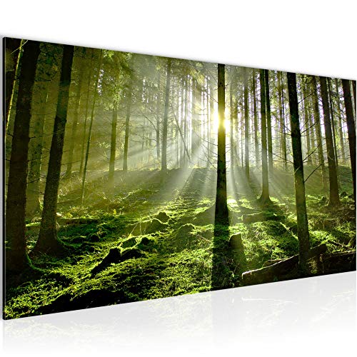 Runa Art Wandbild Wald Landschaft 1 Teilig 100 x 40 cm Modern Bild auf Vlies Leinwand Sonne Schlafzimmer Wohnzimmer Grün 602912a von Runa Art