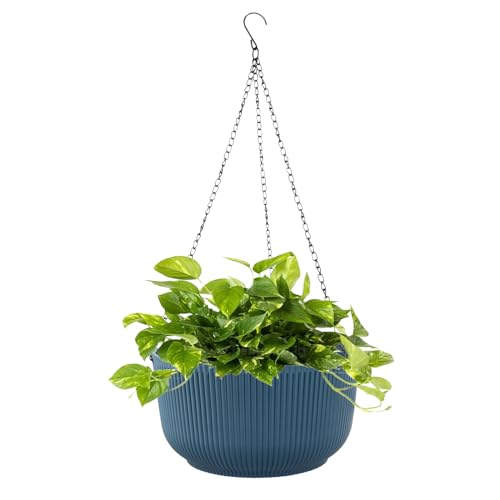 Blumentopf Hängend Plastik,Hängeblumentöpfe, Selbstbewässerung Hängende Blumentöpfe mit Rostfrei Ketten,Hängende Blumentöpfe für draußen mit Drainagelöchern und abnehmbarem Untersetzer,für Gartenhaus von Rundago