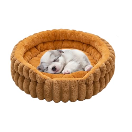 Runkoyea Kleines Hundebett - Rundes Katzenbett Für Hauskatzen - Wärmeisolierende rutschfeste Unterlage Für Kleine Bis Mittlere Haustiere In Wohnzimmer Schlafzimmer Und Outdoor Bereich Runkoyea Kleines Hundebett - Rundes Katzenbett Für Hauskatzen - Wärmeisolierende rutschfeste Unterlage Für Kleine Bis Mittlere Haustiere In Wohnzimmer Schlafzimmer Und Outdoor Bereich von Runkoyea