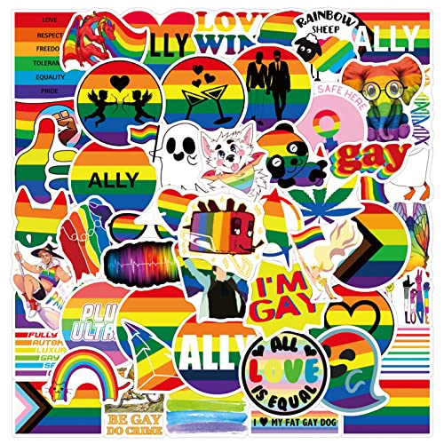 100 Stück Pride Sticker, Wasserdicht Vinyl Graffiti LGBTQ Sticker, LGBTQ Accessoires LGBTQ Pride Regenbogen Sticker für Laptop Wasserflaschen Fahrrad Skateboard von Runmeihe