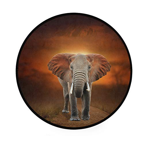 RunningBear Runder Teppich, 91 cm, Elefant auf Savanne, rund, waschbar, für Küche, Schlafzimmer, Wohnzimmer von RunningBear