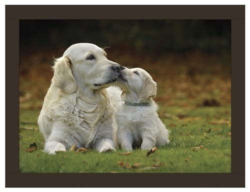 Golden Retrievers Knietablett aus Kunstleder von Rural Roots