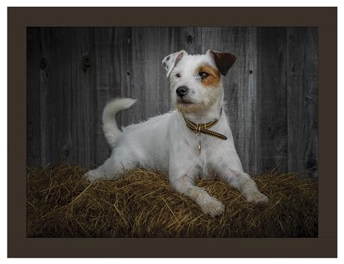 Jack Russell Knietablett aus Kunstleder von Rural Roots