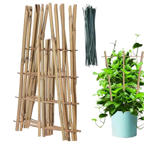 Rankgitter Bambus 6 Stück/Rankenhilfe für Kletterpflanzen/Rankhilfe Tomaten - Für Garten- & Zimmerpflanzen wie Monstera und Efeu von Rurunklee