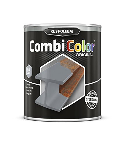 RUST-OLEUM 7382.0.75 Combicolor Original Spray, steel grey-ral 7001 von Rust-Oleum