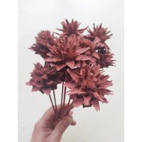 10 X Getrocknete Leucadendron Plumosum Cones Chocolate Farbe - Stemmed Hochzeitsblumen Brautsträuße Blumengesteck von RusticHouse11