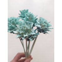 10 X Getrocknete Leucadendron Plumosum Zapfen Türkis Farbe - Stemmed Hochzeitsblumen Brautsträuße Blumengesteck von RusticHouse11