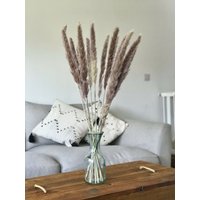 10 X Getrocknetes Mini Pampas Gras Natur - Floristenzubehör Blumenmaterial Hochzeitsblumen von RusticHouse11